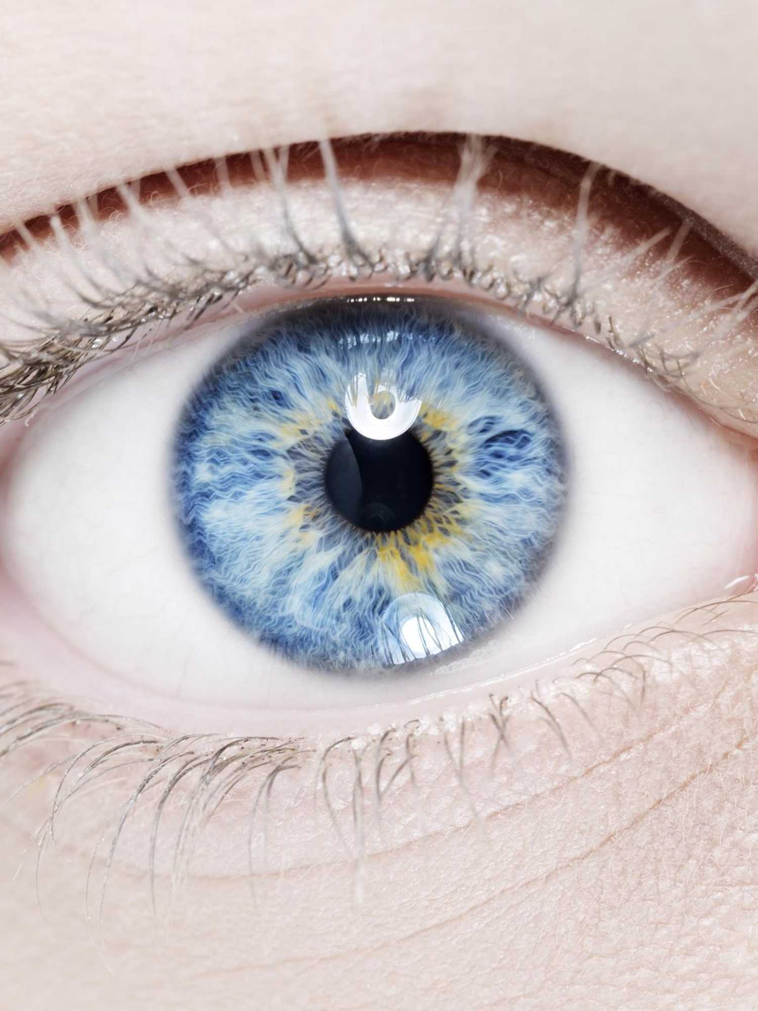 Scientists have managed to 'reverse death' by bringing body part back to life