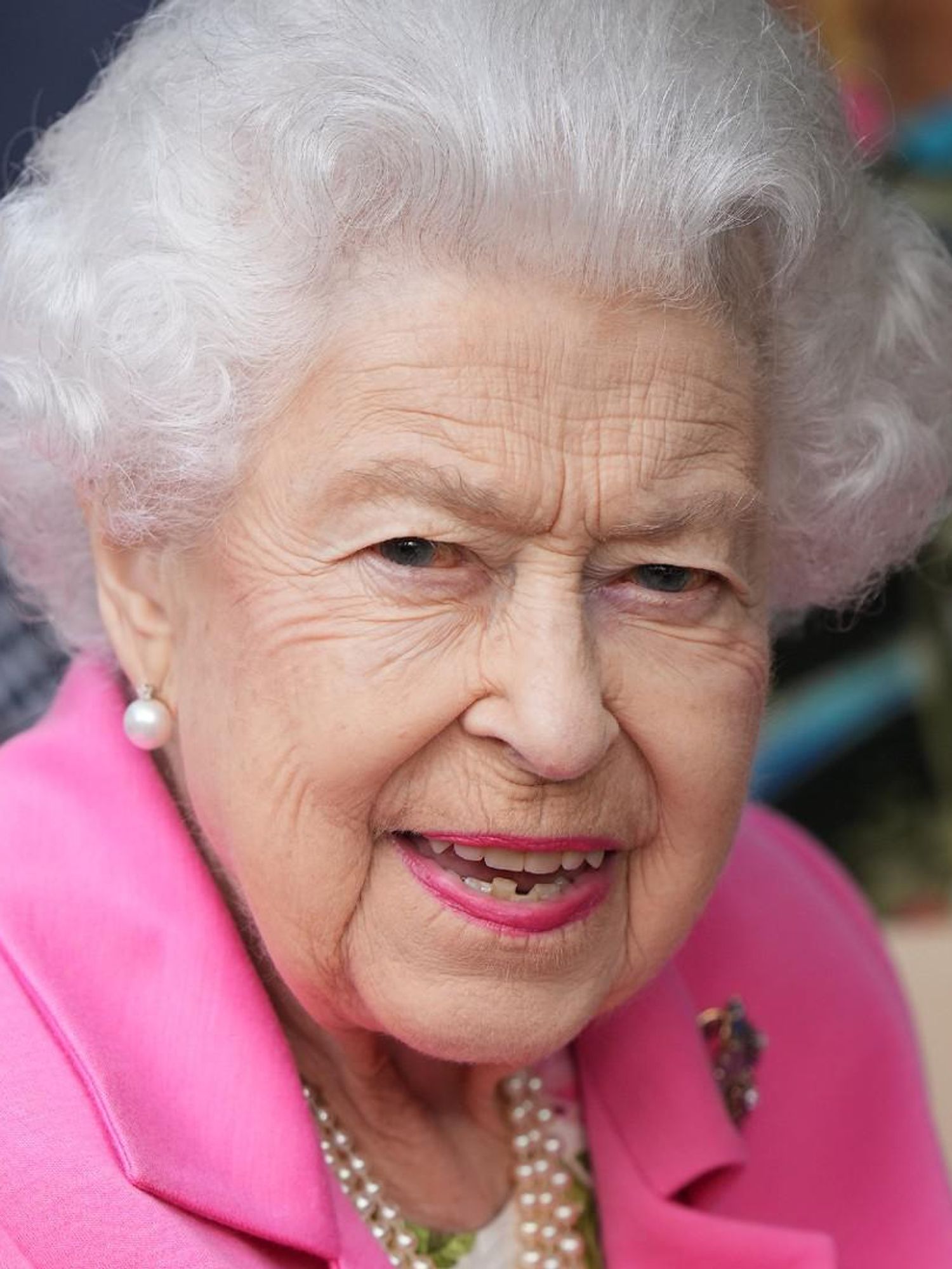 Office worker edits Alex Ferguson's face onto the Queen and nobody noticed