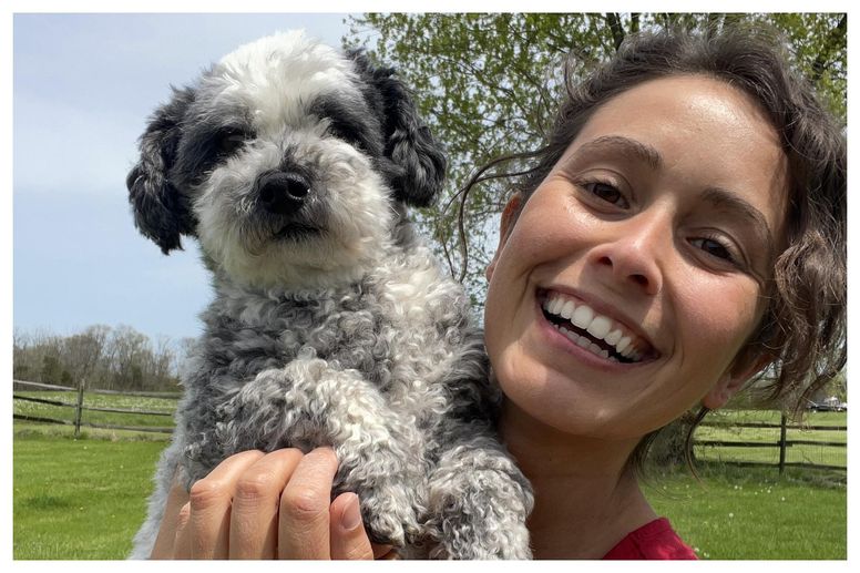 Lawyer quits $75k job to become pet psychic and speak to animals 'alive and  dead' | indy100