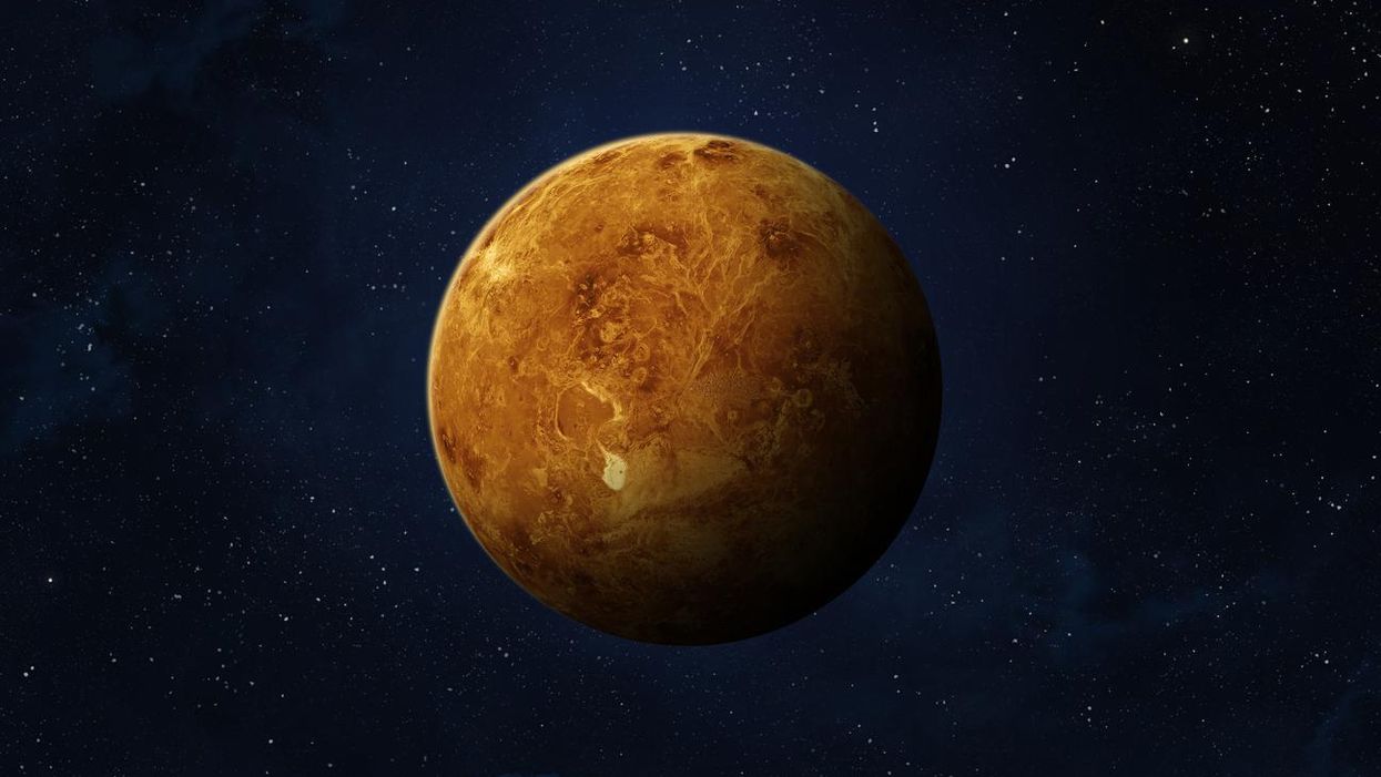 Life may have been discovered on Venus, say top scientists