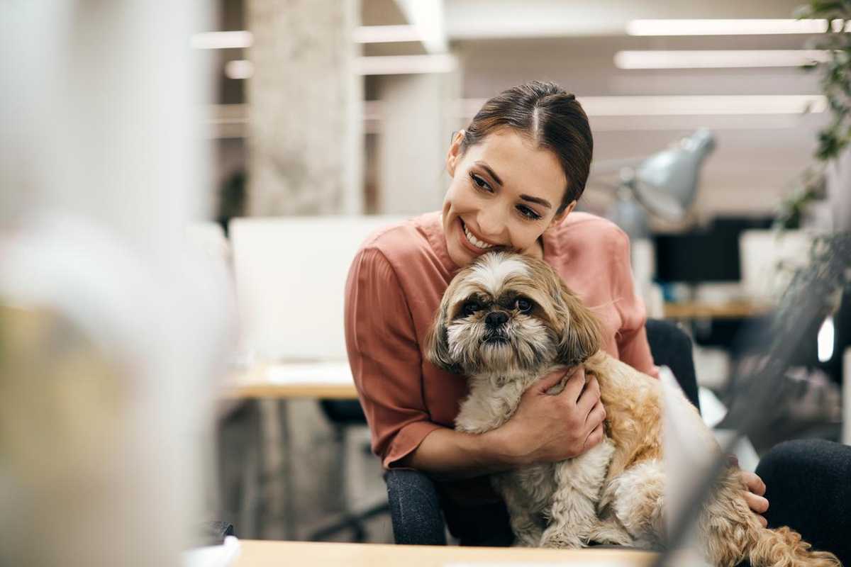 All the best photos from Bring Your Dog To Work Day