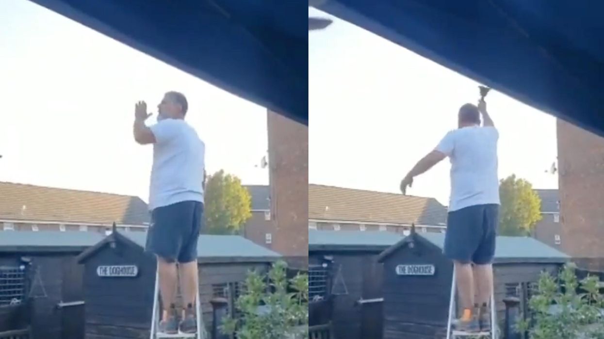 Man stands on ladder in back garden to tell his neighbours there is 'a grass amongst us'