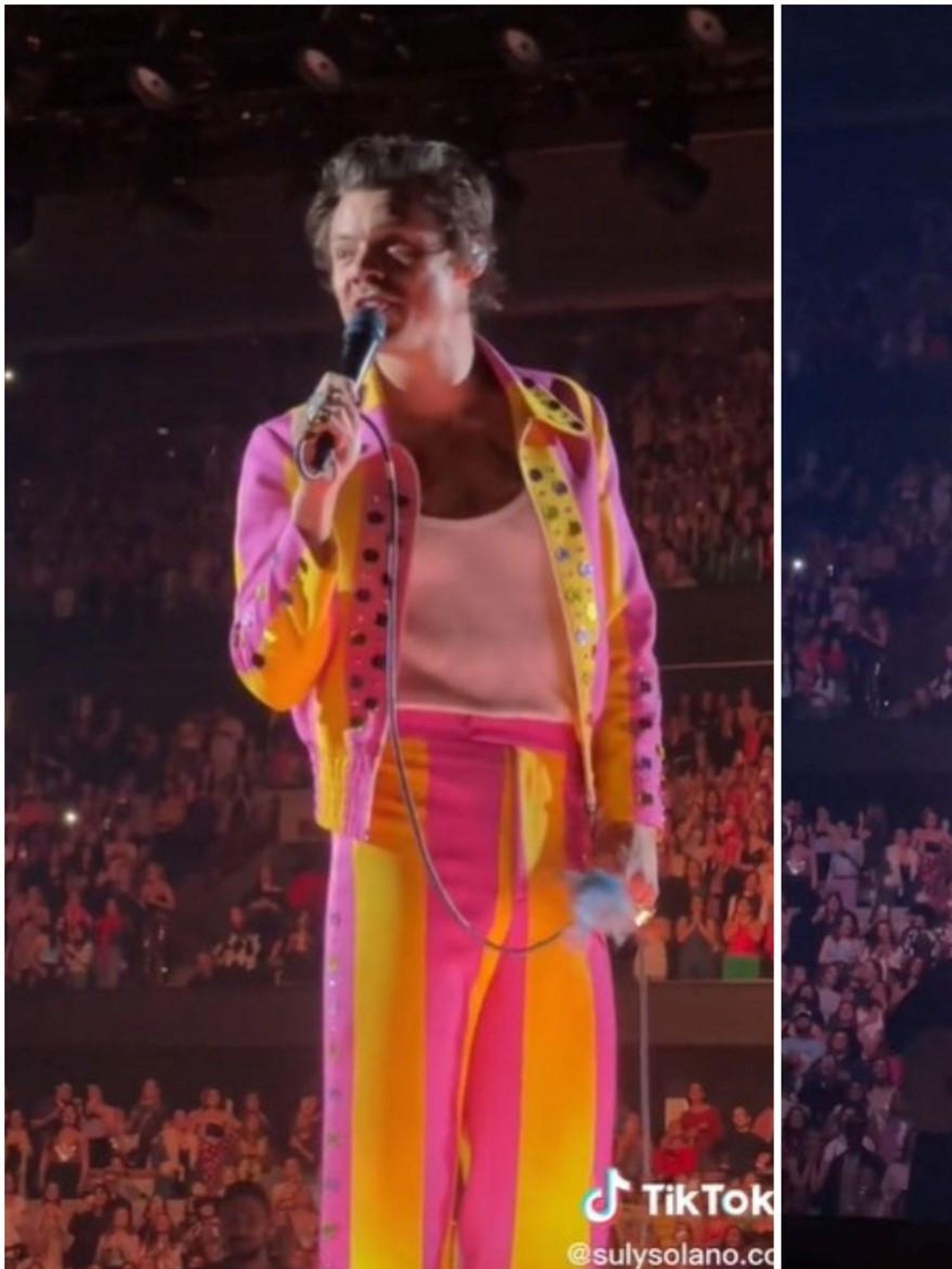 Harry Styles hit in the groin during live gig