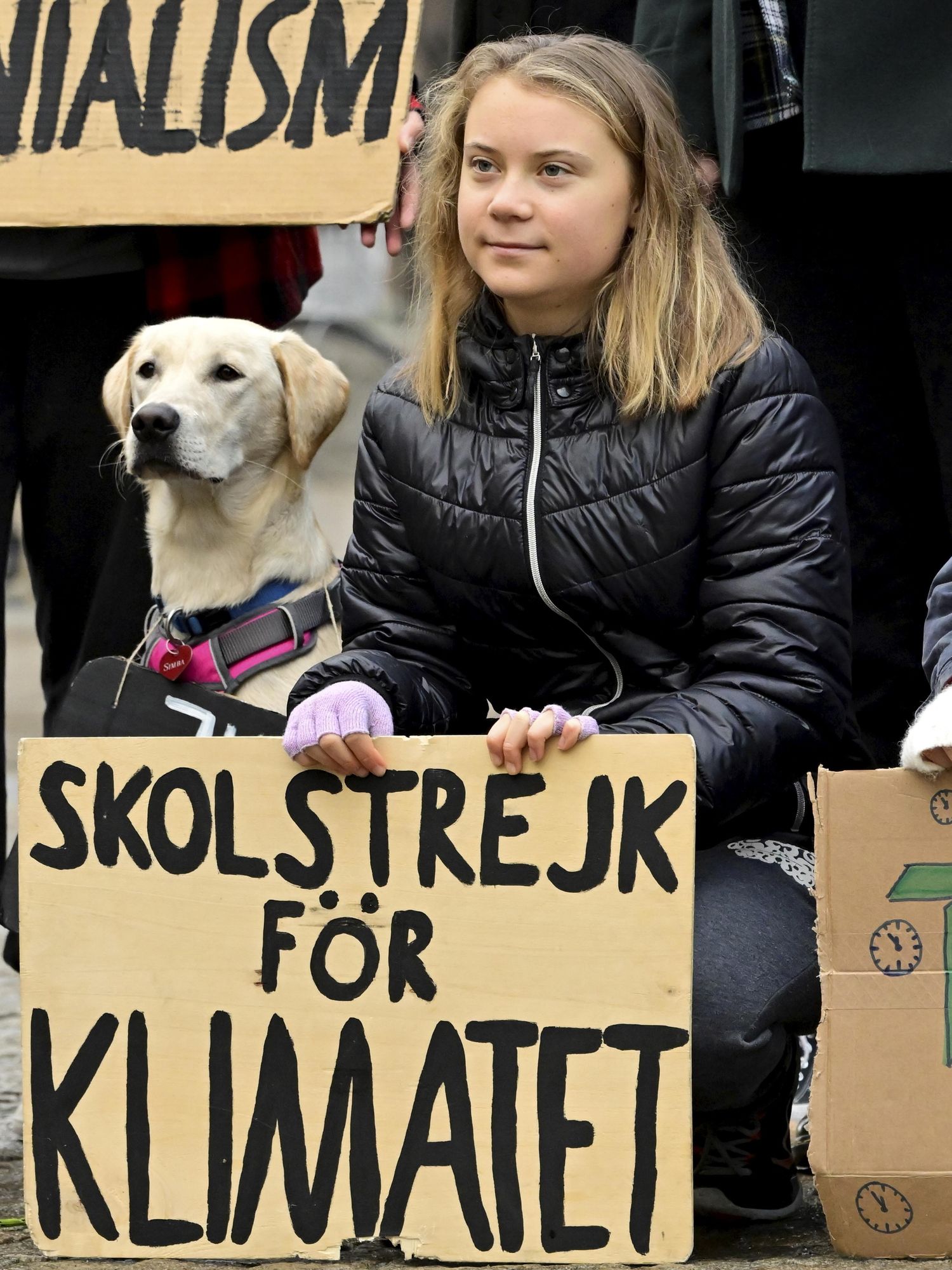 Greta Thunberg's 8 most brutal comebacks from Donald Trump to Andrew Tate