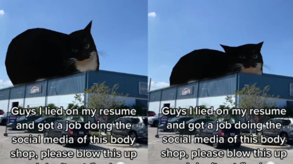 How a cat meme caused Clancy's Auto Body Shop to go viral | indy100