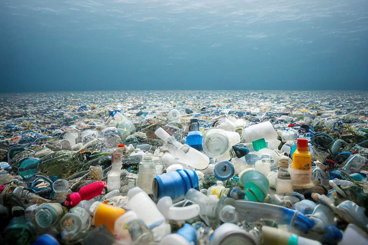 Scientists discover life inside giant Pacific Ocean rubbish patch