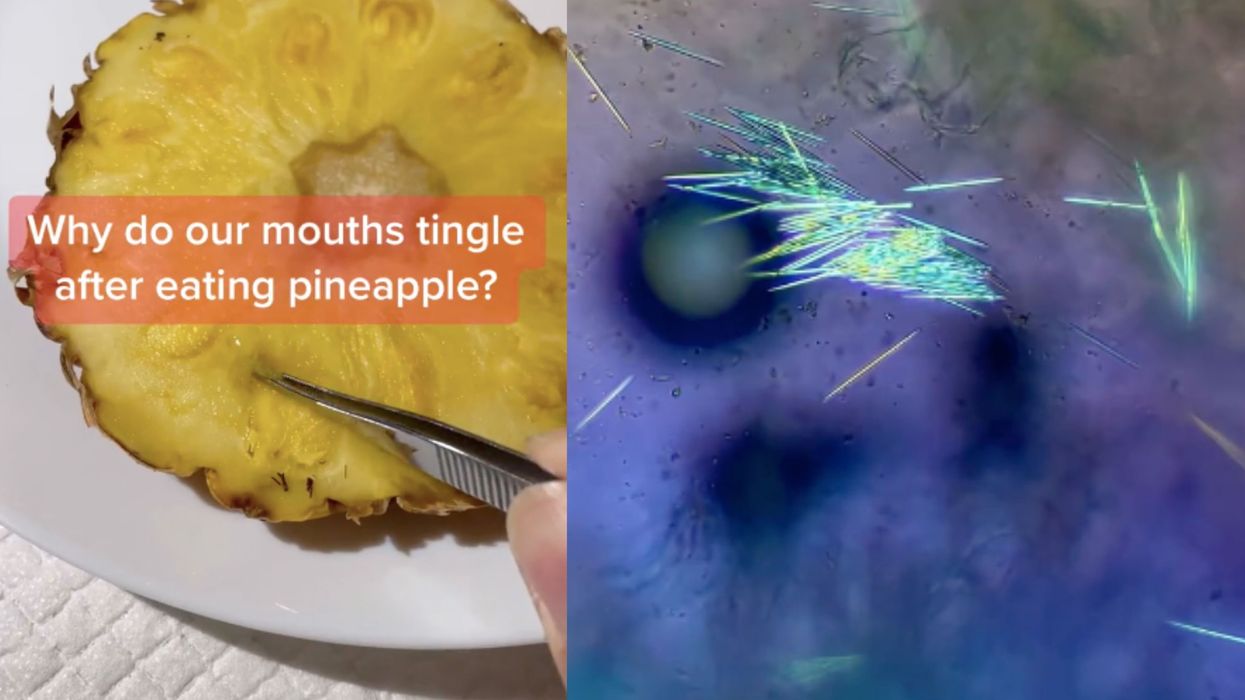 Pineapple 'needles' revelation has people questioning whether they'll eat the fruit again