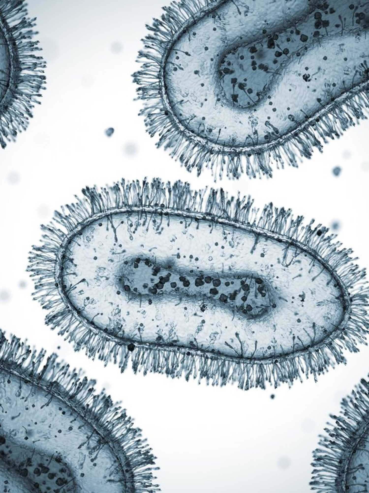 Scientists discover life living deep beneath the ocean floor: 'I thought it was a dream'
