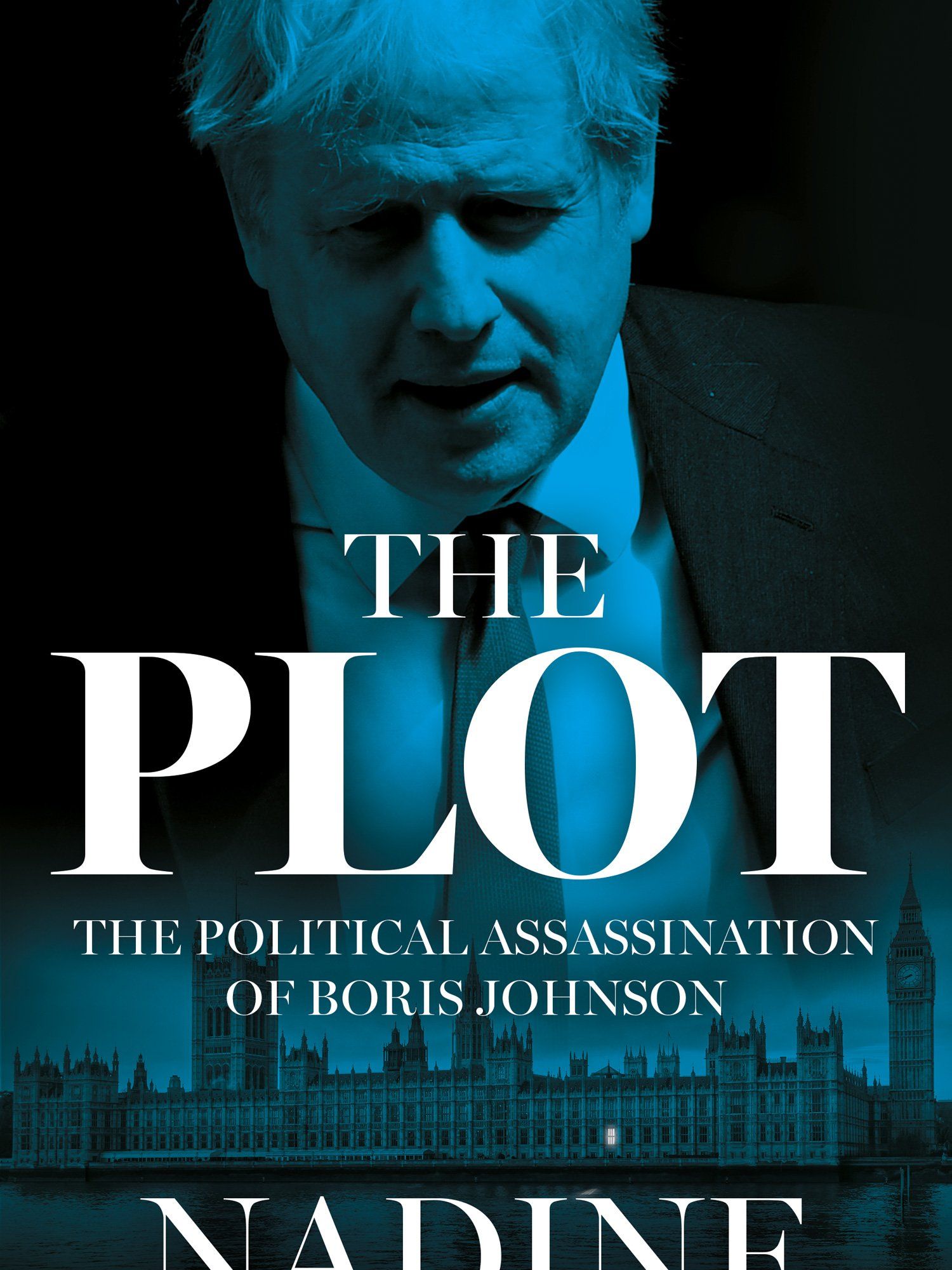 Nadine Dorries has now written a book about Boris Johnson