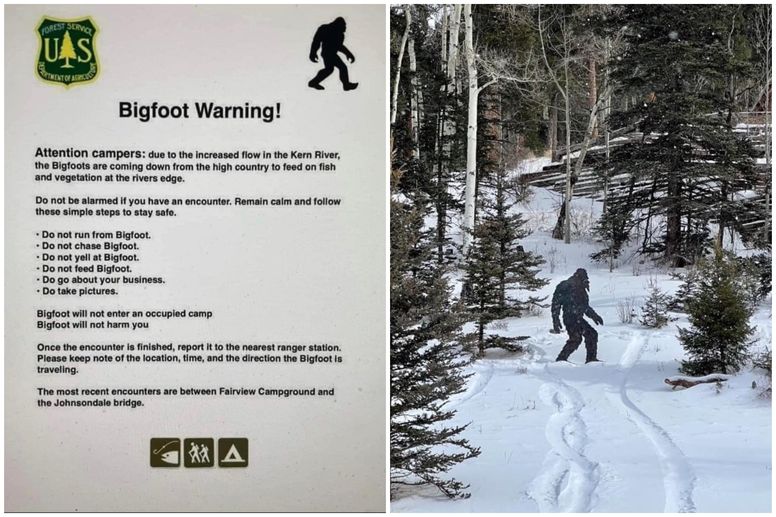 Humorous 'Bigfoot warning' issued by Taos County Sheriff's Office