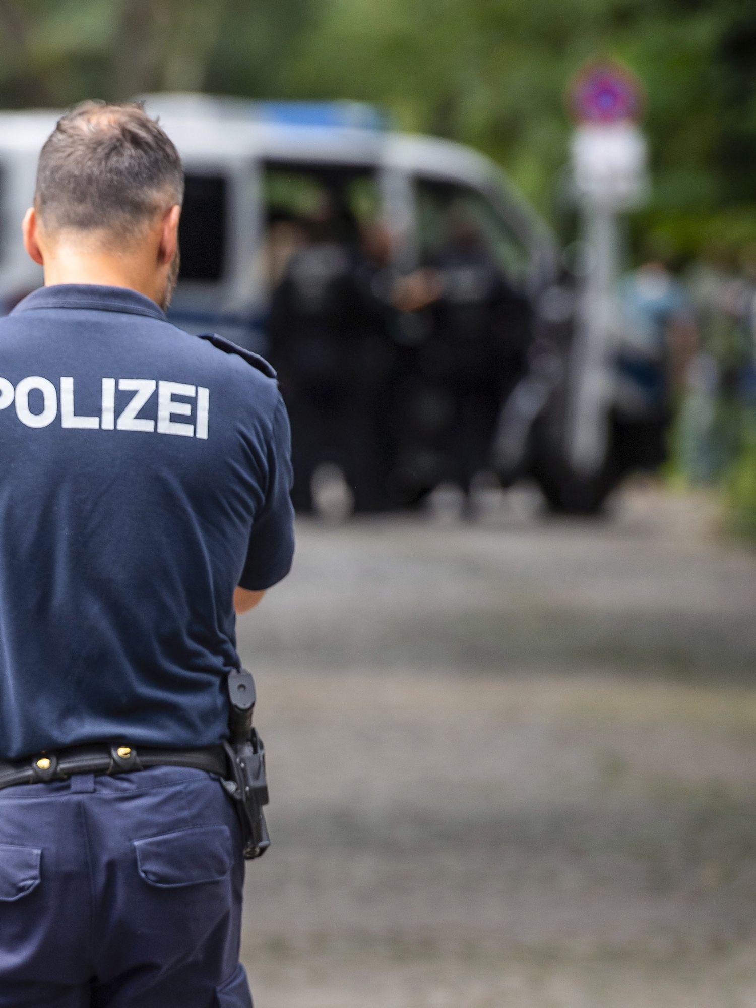 A mystery lioness is causing chaos on the streets of Berlin