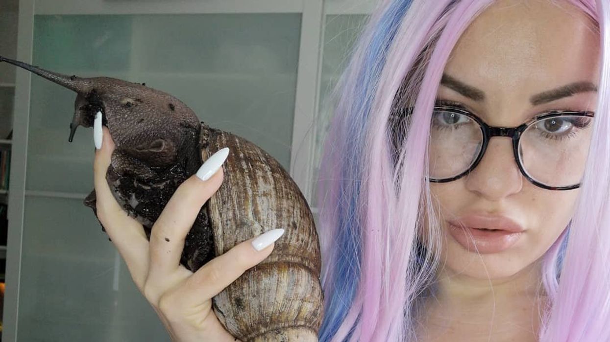 Woman makes six figure salary through breeding snails