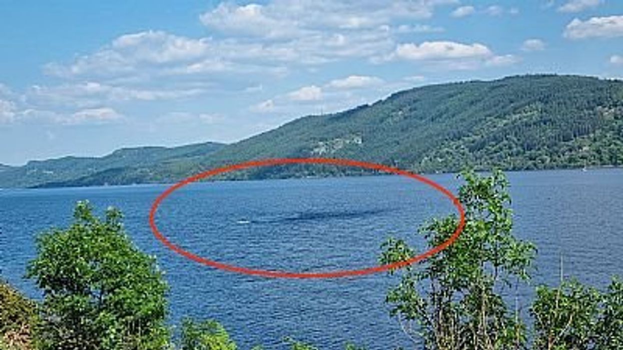 'Loch Ness Monster' photographed as head and two humps emerge from the water