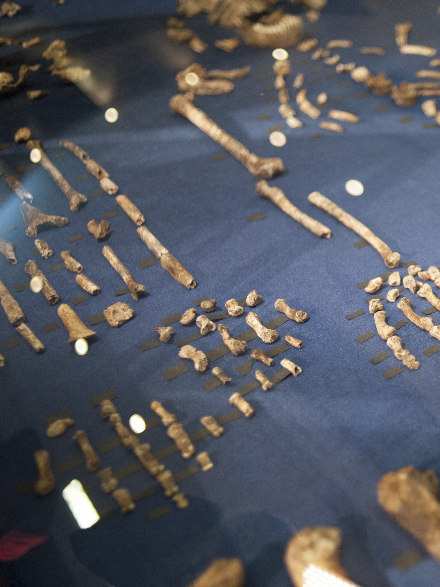 Archeologists 'horrified' after human remains were blasted into space