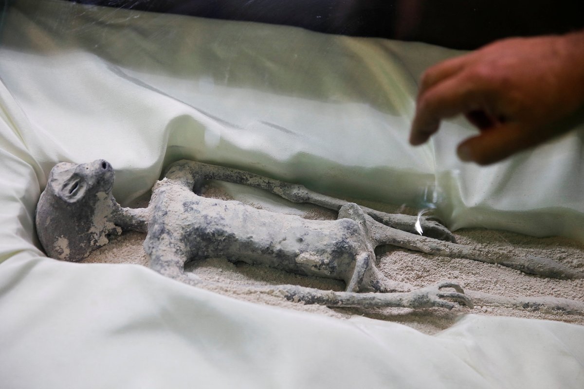 Scientists confirm that one of Mexican aliens is 'alive' after controversial research