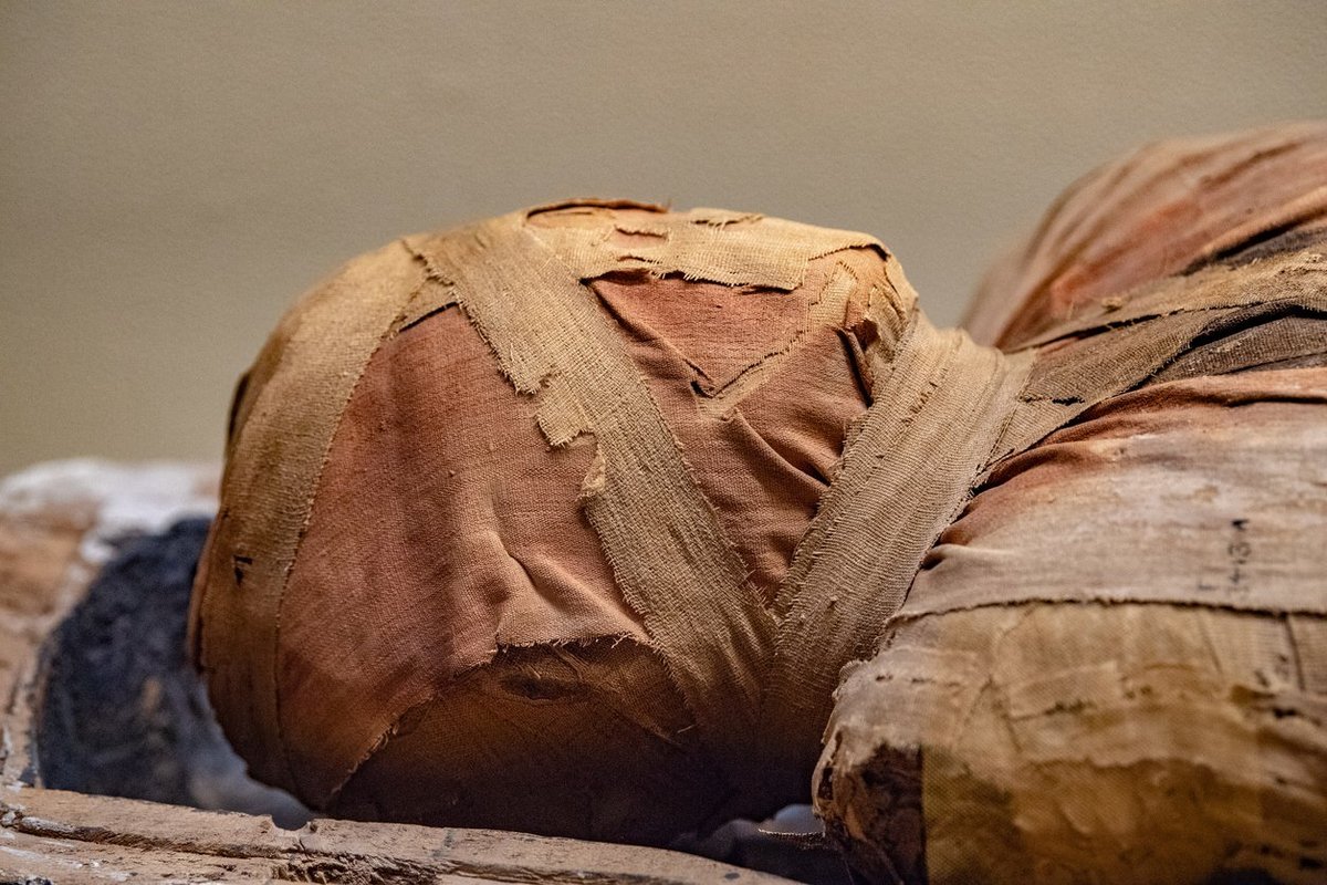 Man found completely mummified just 16 days after he was last seen alive