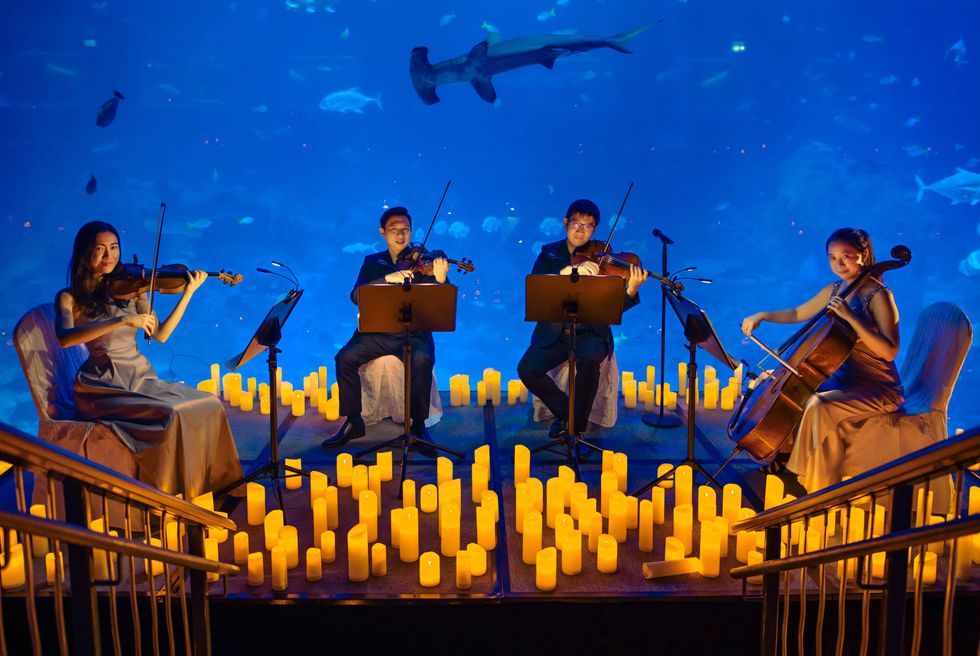 Candlelight Concerts are giving classical music a Gen Z makeover indy100