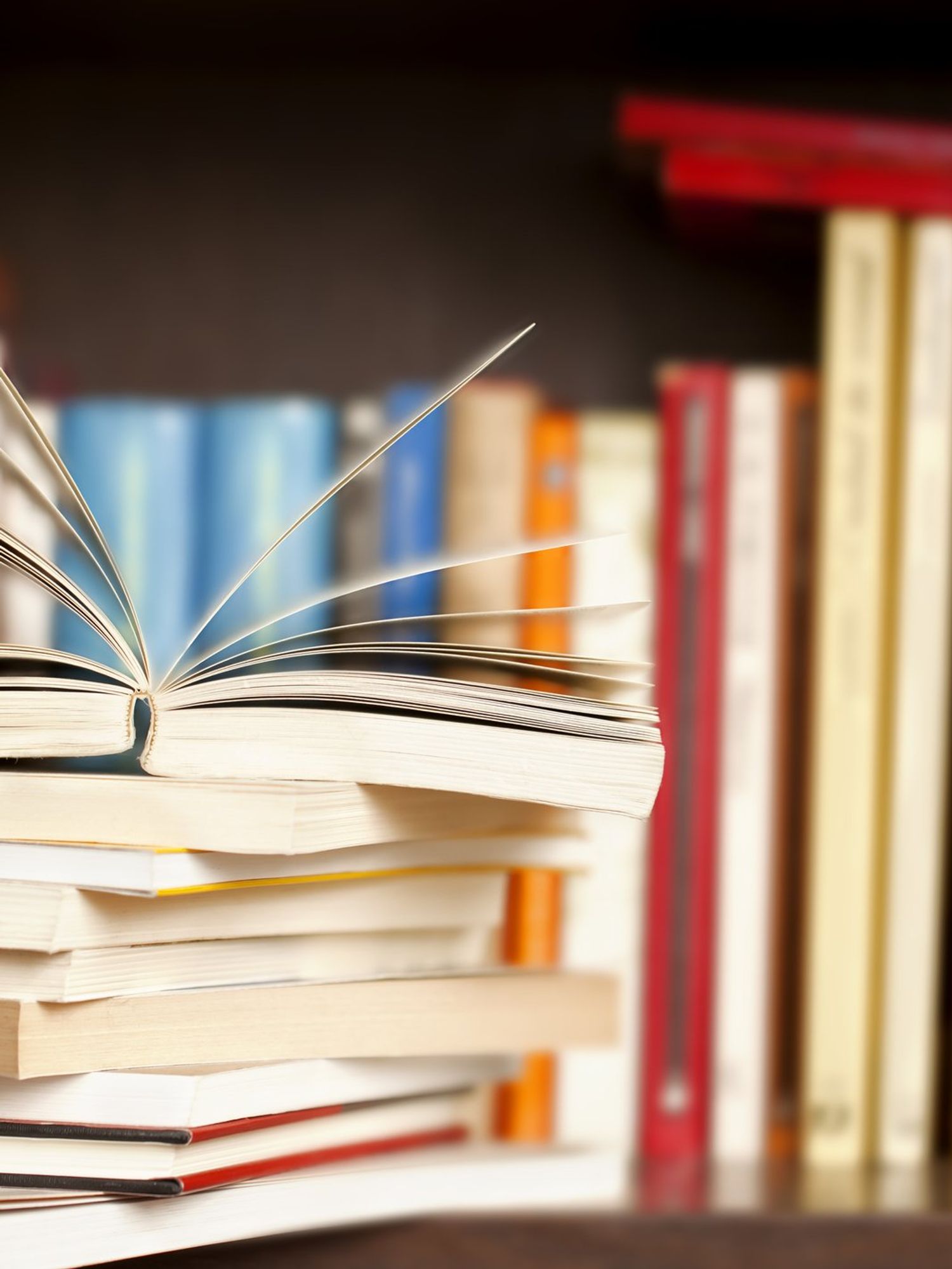 Children's book flagged as potentially 'sexually explicit' over author's surname