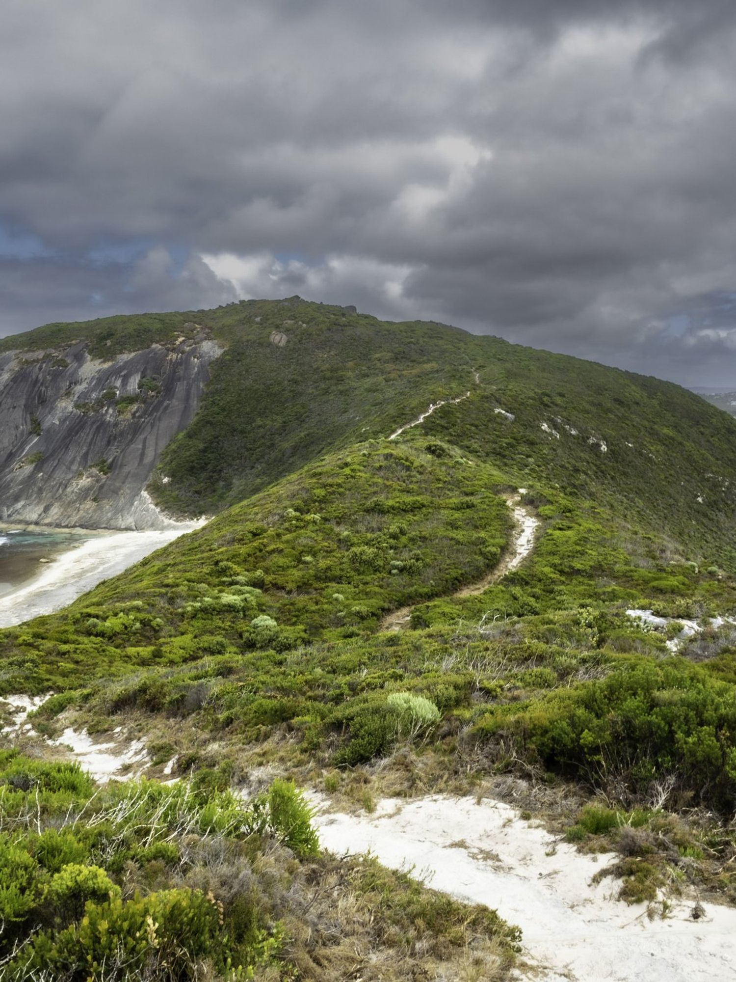 Scientists discover remnants of lost continent that was once part of Australia