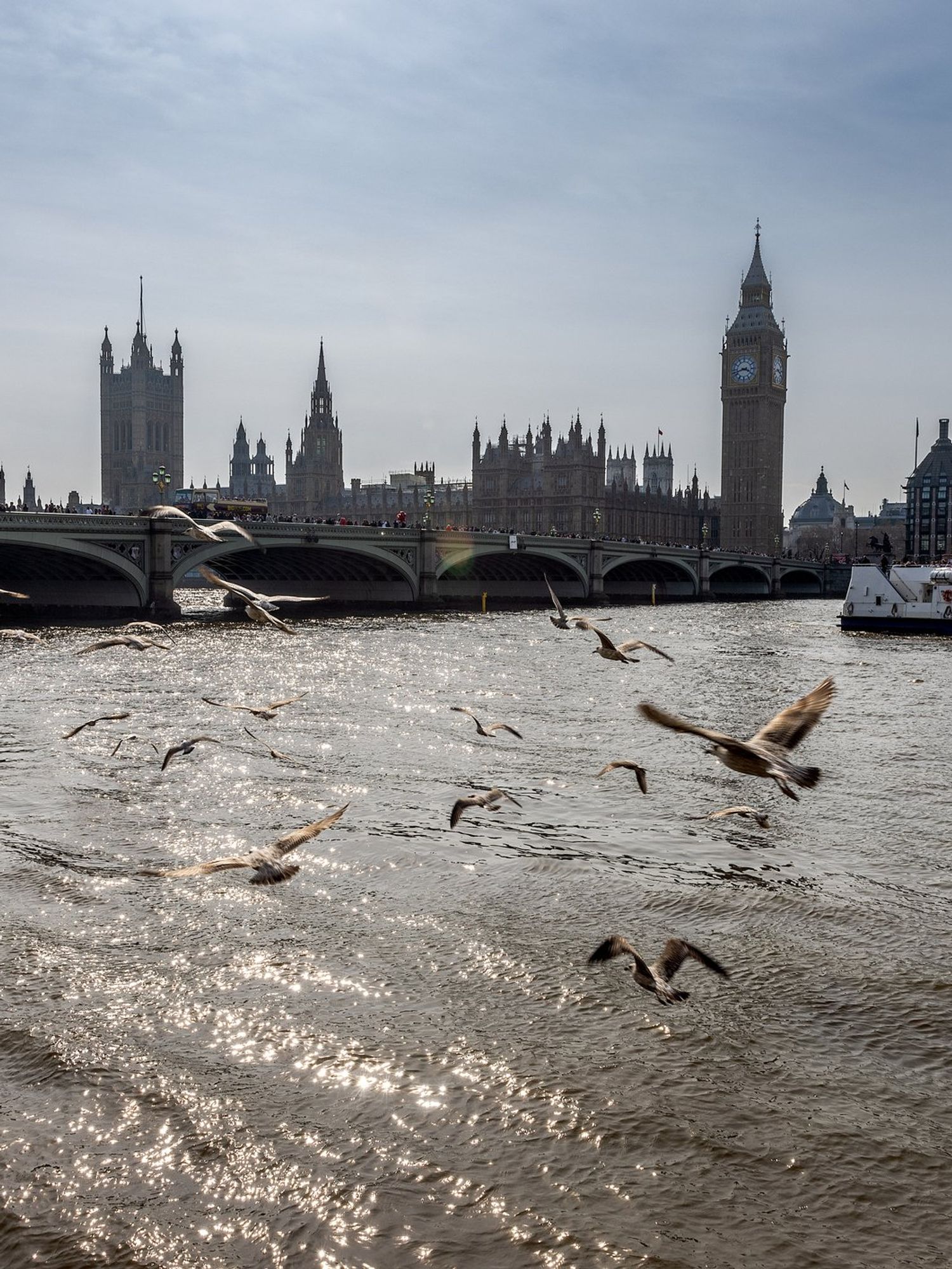 Thames Water 'pumped 72bn litres of sewage into the Thames' in last three years