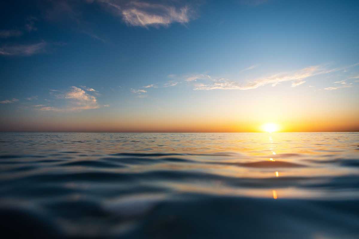 Major ocean discovery could unlock history of evolution