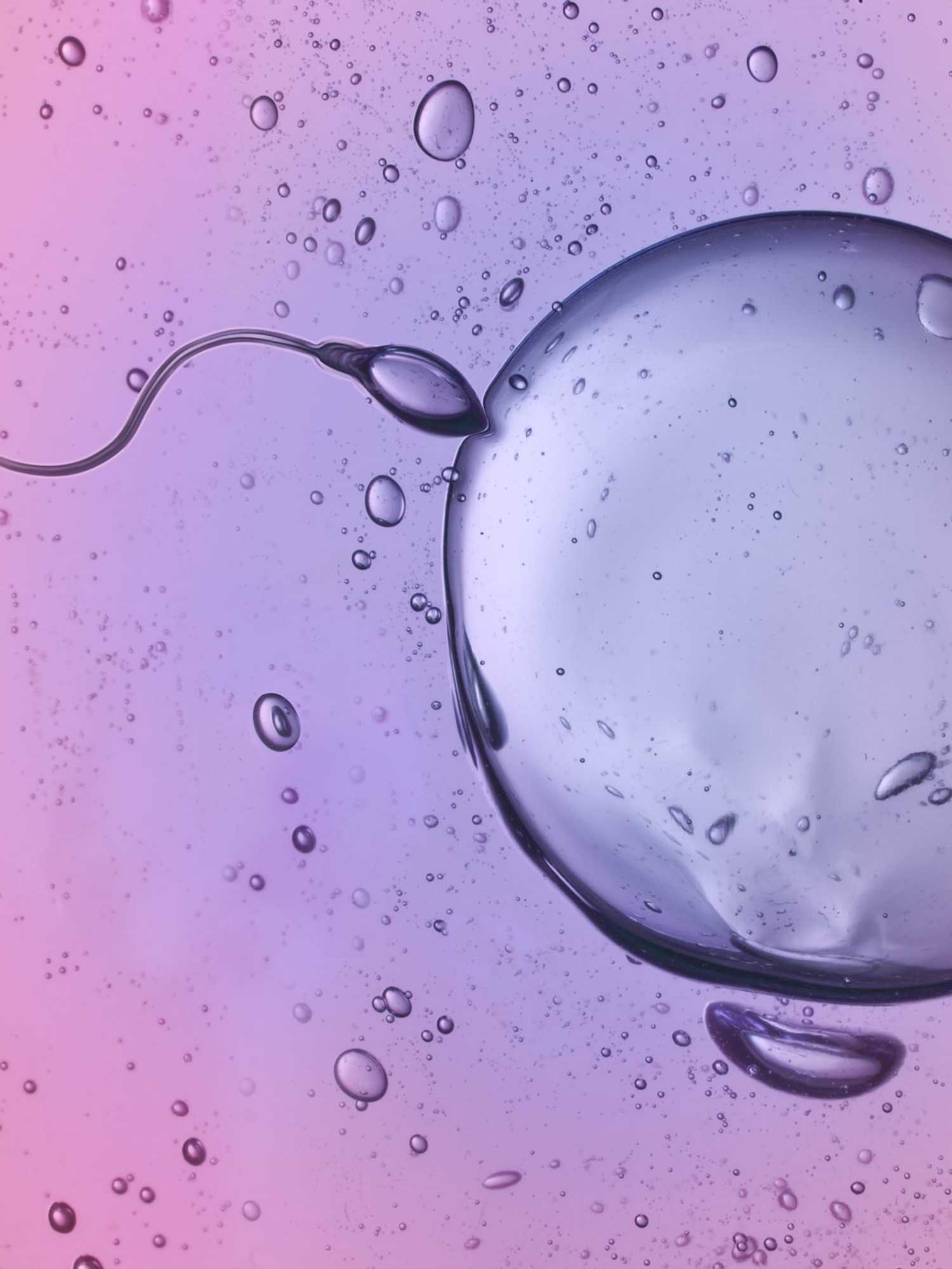 Scientists discover that sperm can ‘defy the laws of physics’