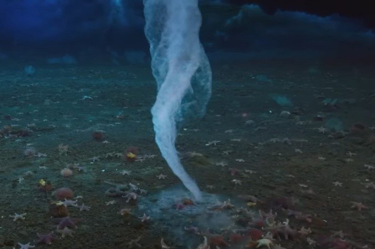 Terrifying 'ice finger of death' killing everything it touches caught on camera