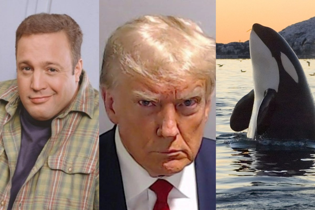 The 10 best memes of 2023 - from Trump's mugshot to the Kevin James smirk