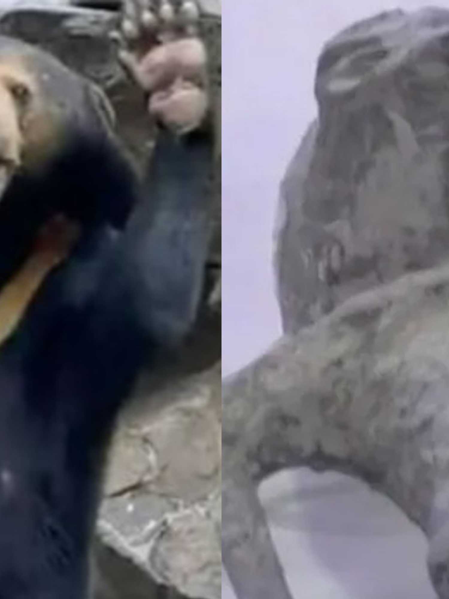 The 11 weirdest stories of 2023