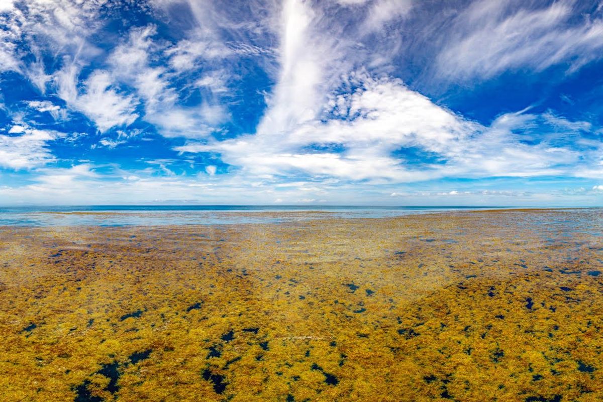 There is one sea on Earth that doesn't touch any land at all