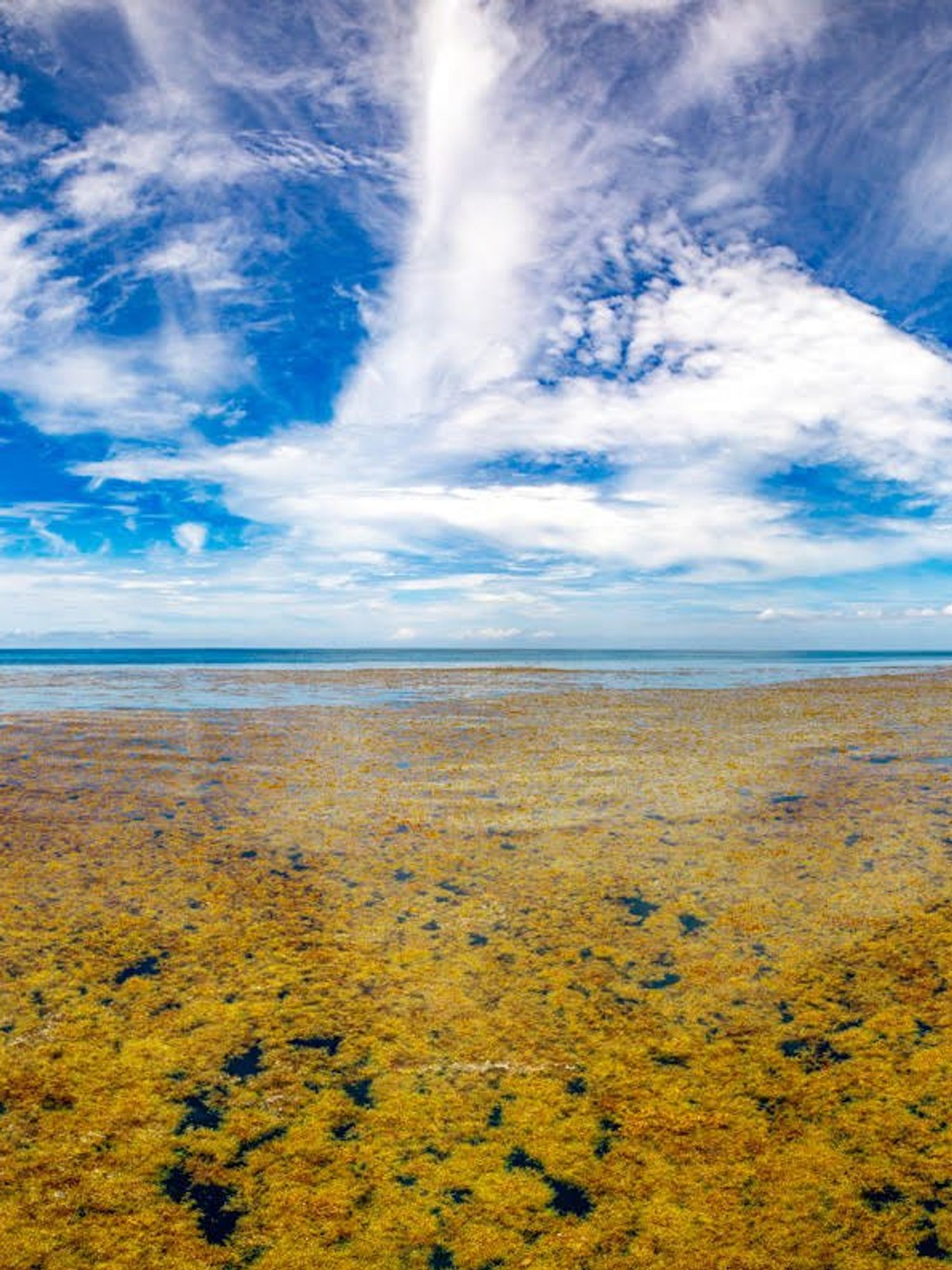 There is one sea on Earth that doesn't touch any land at all