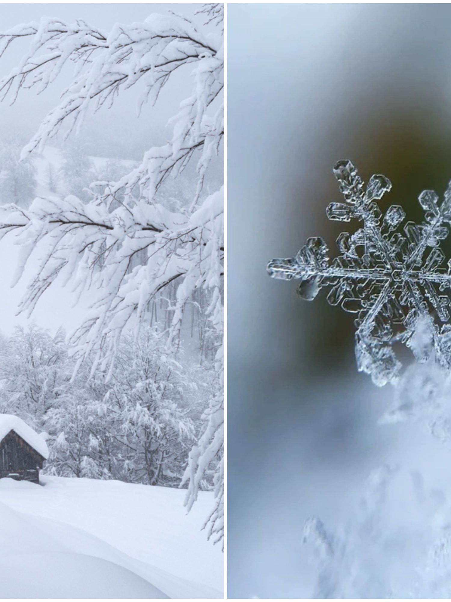 The biggest snowflakes on record were larger than pizzas