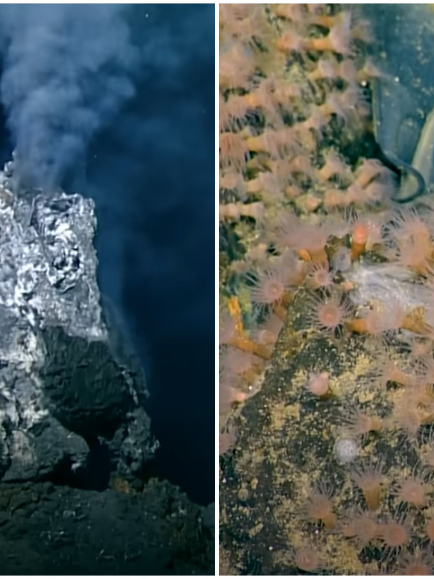 Scientists left 'speechless' after discovering ancient volcano is still active — and covered in giant eggs