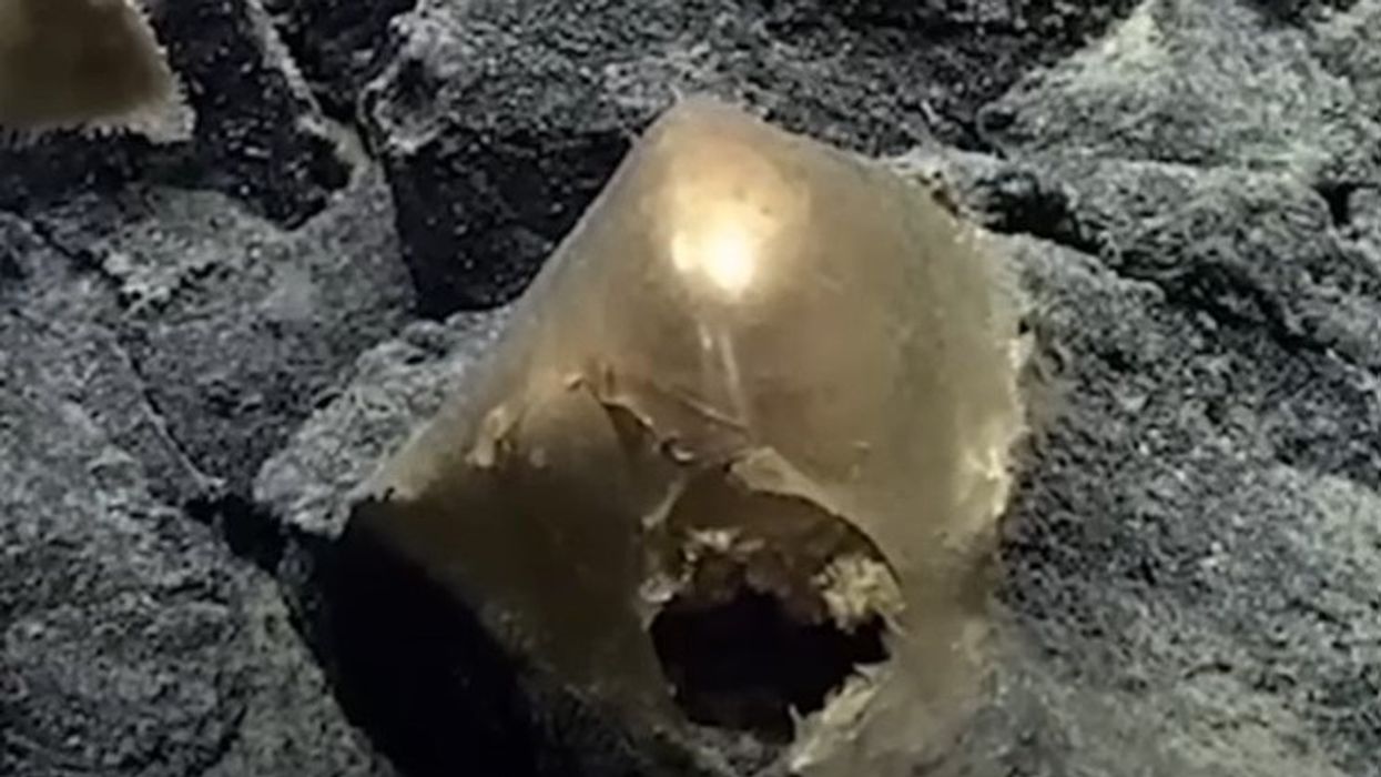 Scientists stumped by golden orb discovered at bottom of the sea