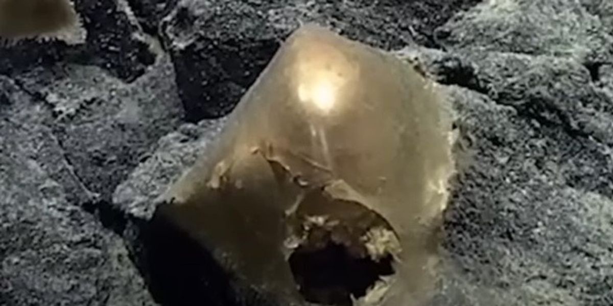 Wissenschaftler sind verwirrt über die goldene Kugel, die auf dem Meeresgrund entdeckt wurde