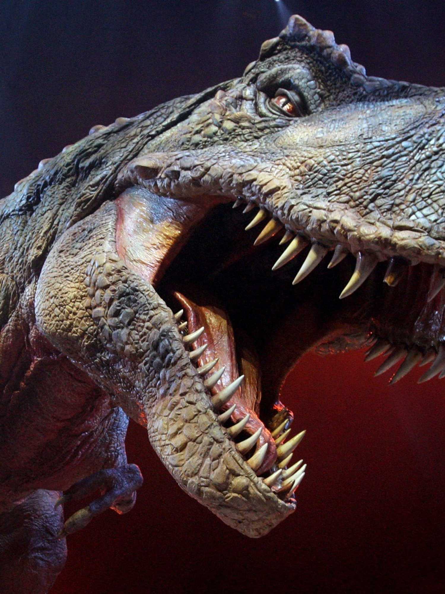 Dinosaurs could be the reason why humans age so quickly, scientists say