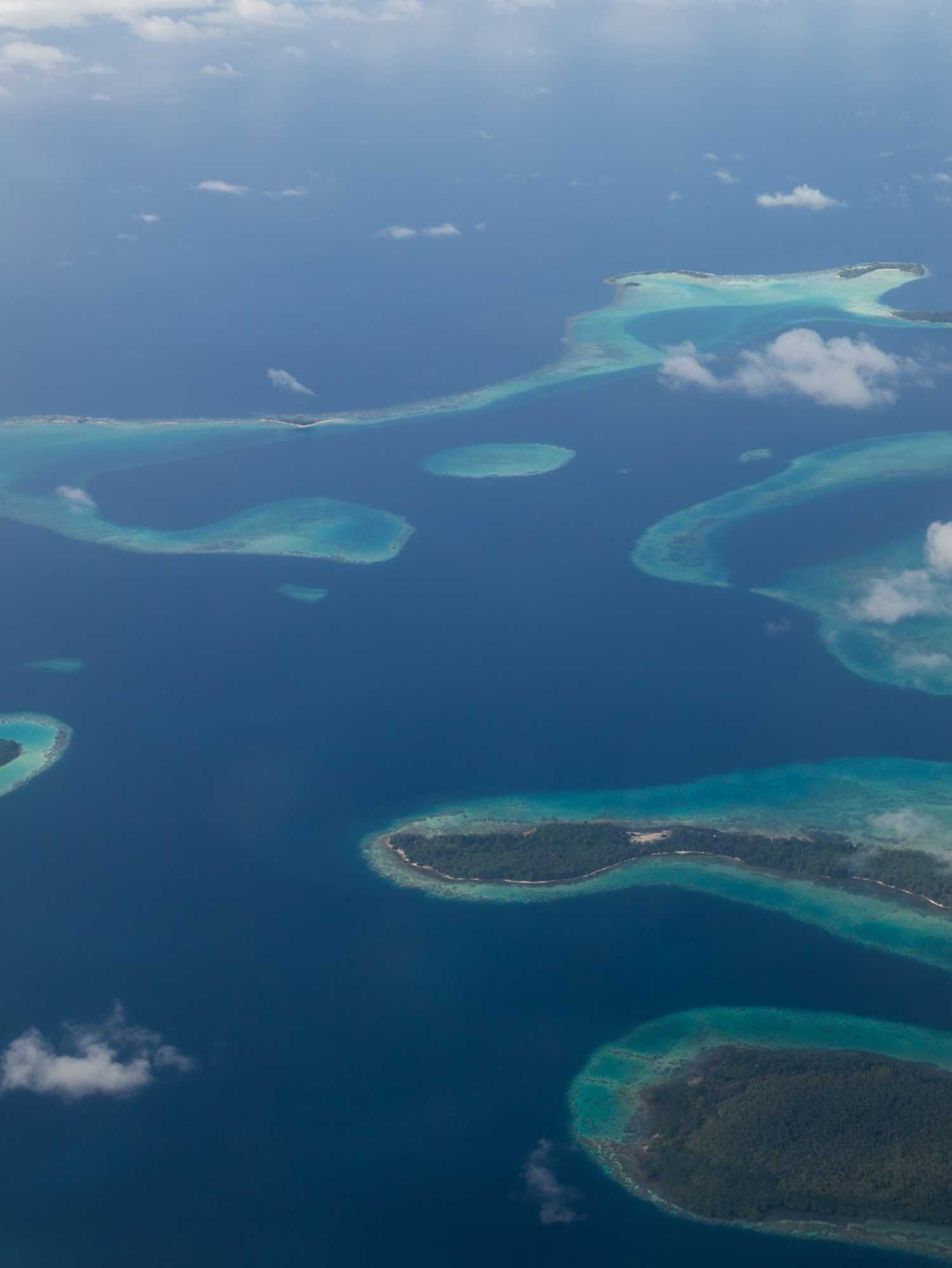 Gigantic 'superstructure' growing since the age of dinosaurs discovered in the ocean