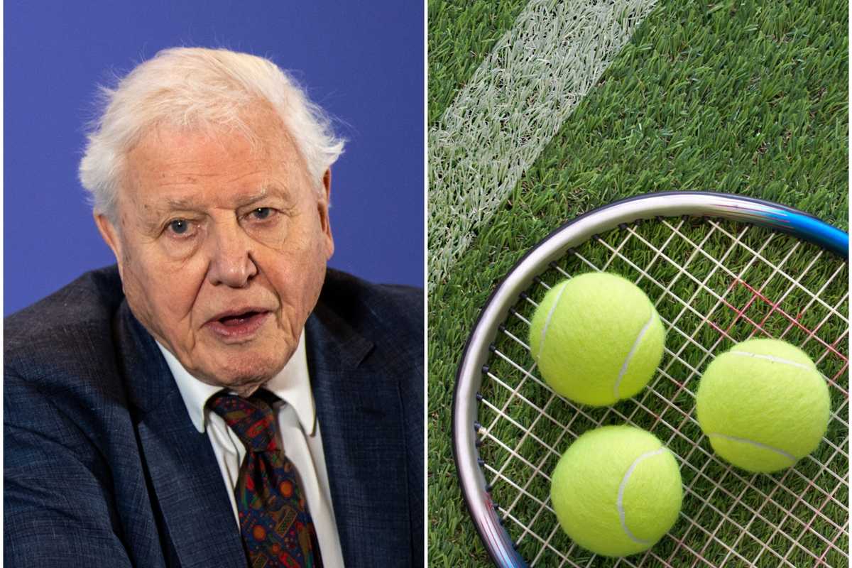 Tennis balls are fluorescent yellow thanks to David Attenborough - here's why