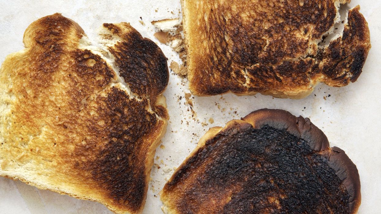 What is the 'Burnt Toast' theory being discussed on TikTok?