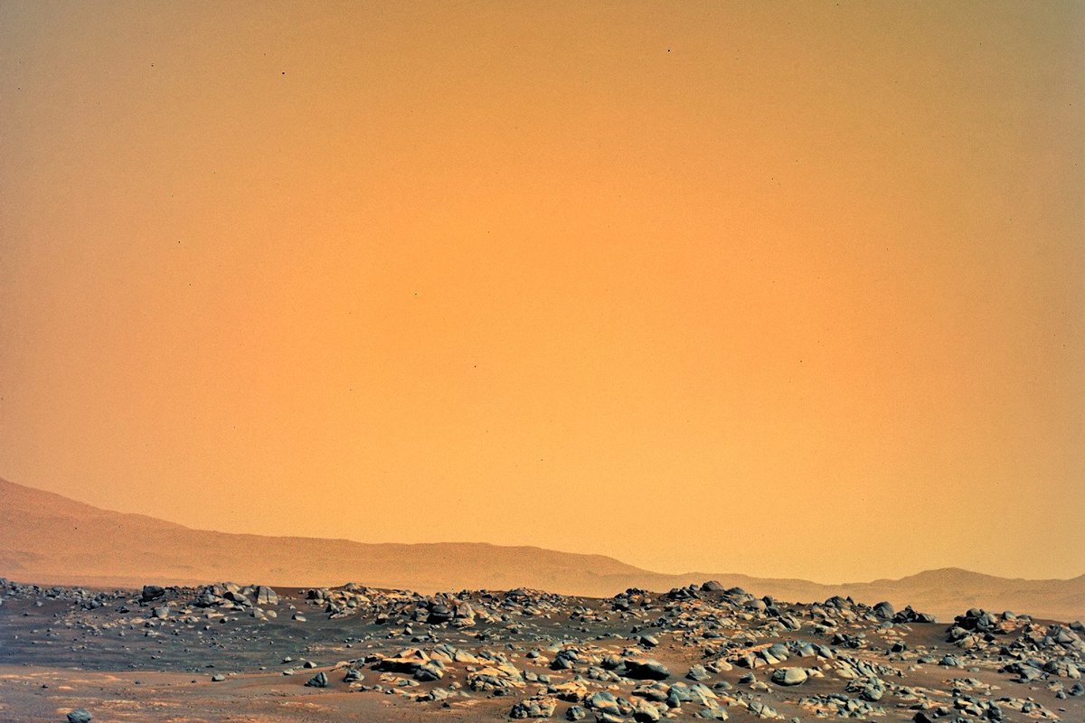 Scientists are convinced that life has already been found on Mars