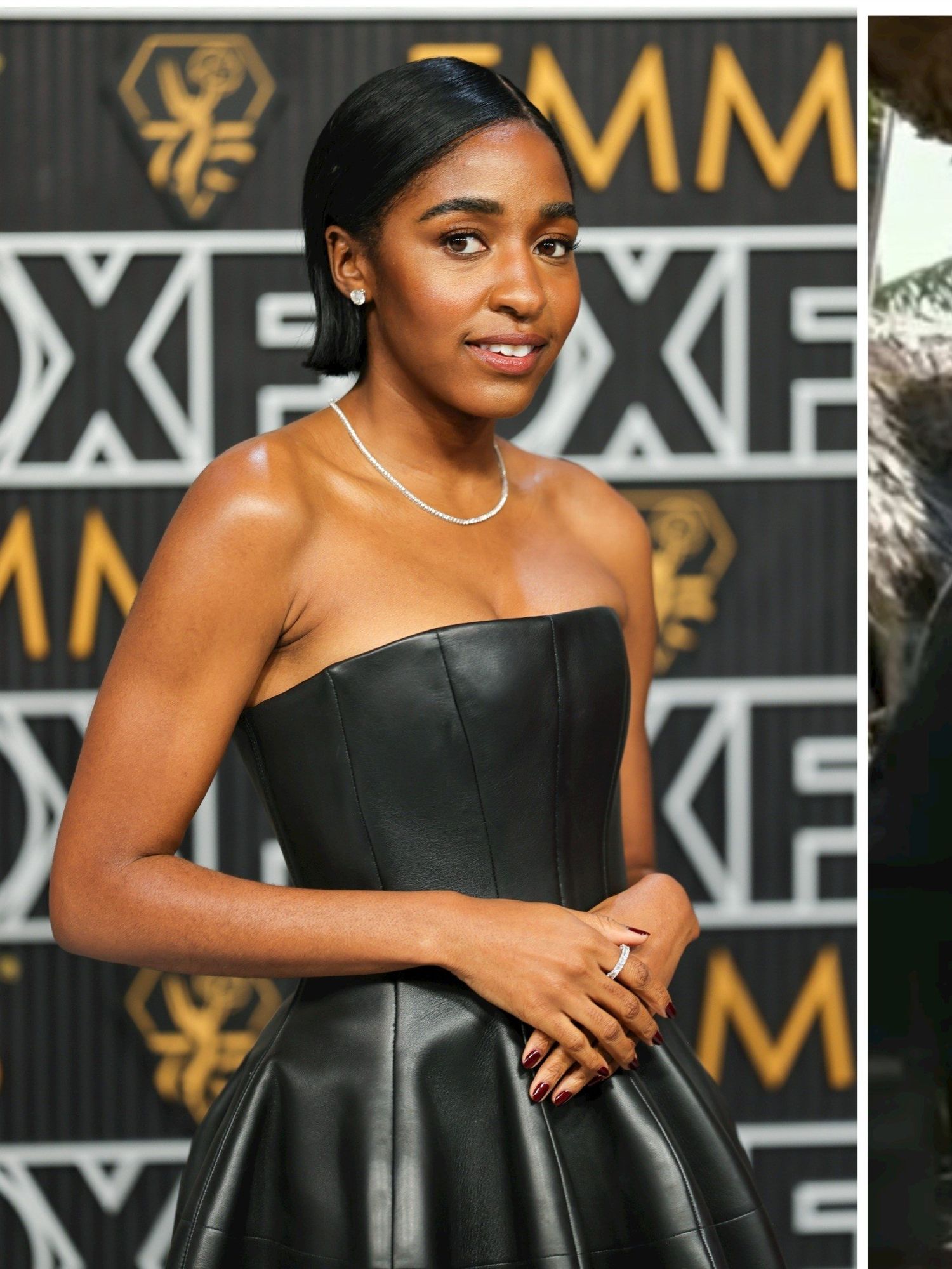 The Bear star rumoured to replace Johnny Depp in Pirates of the Caribbean