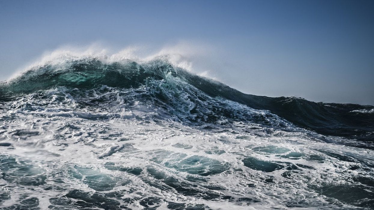 Concerning study shows major ocean at risk of total collapse