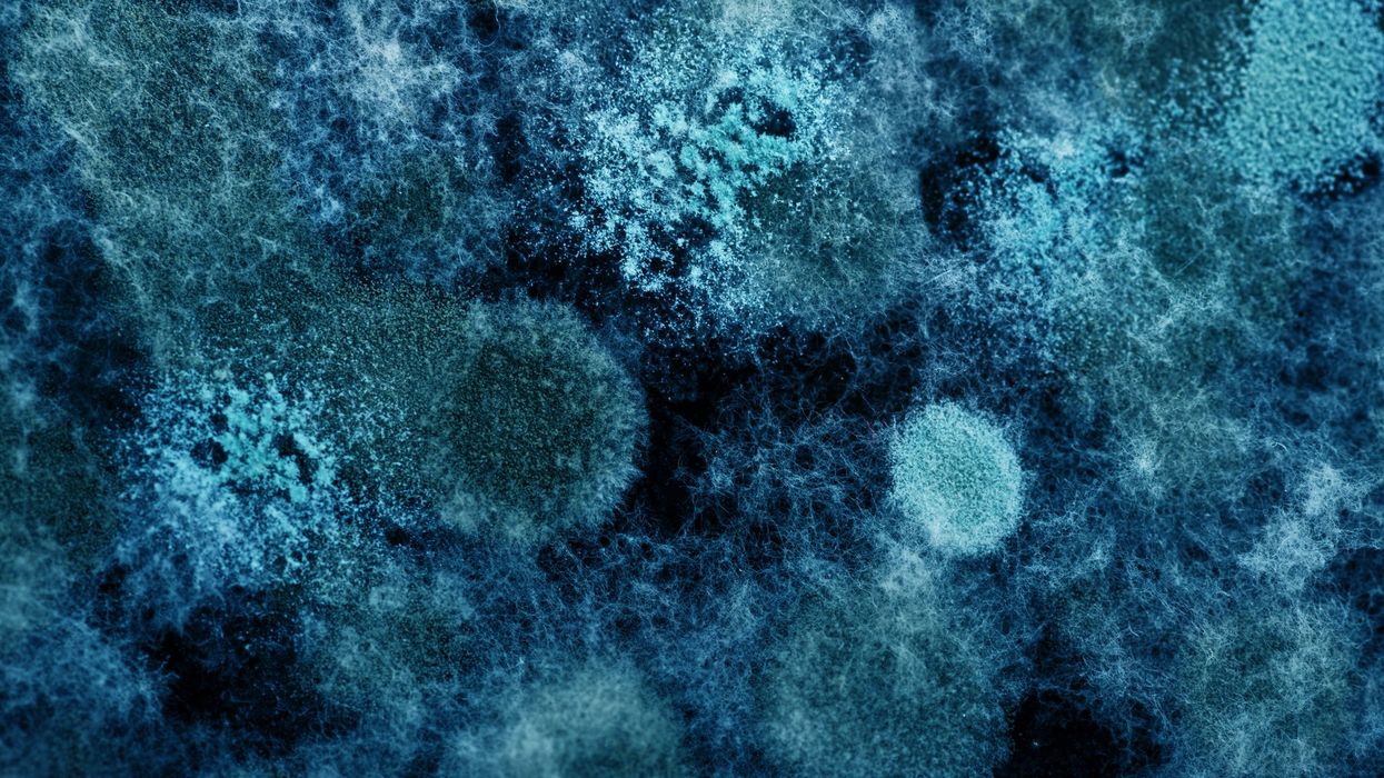 Scientists discover rare protein with unique property that could tackle pollution