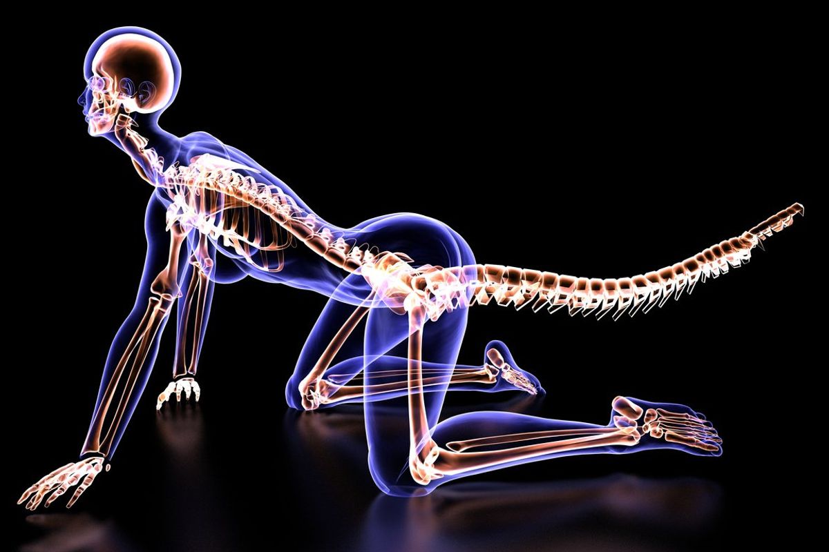 Scientists have discovered real reason why humans no longer have tails