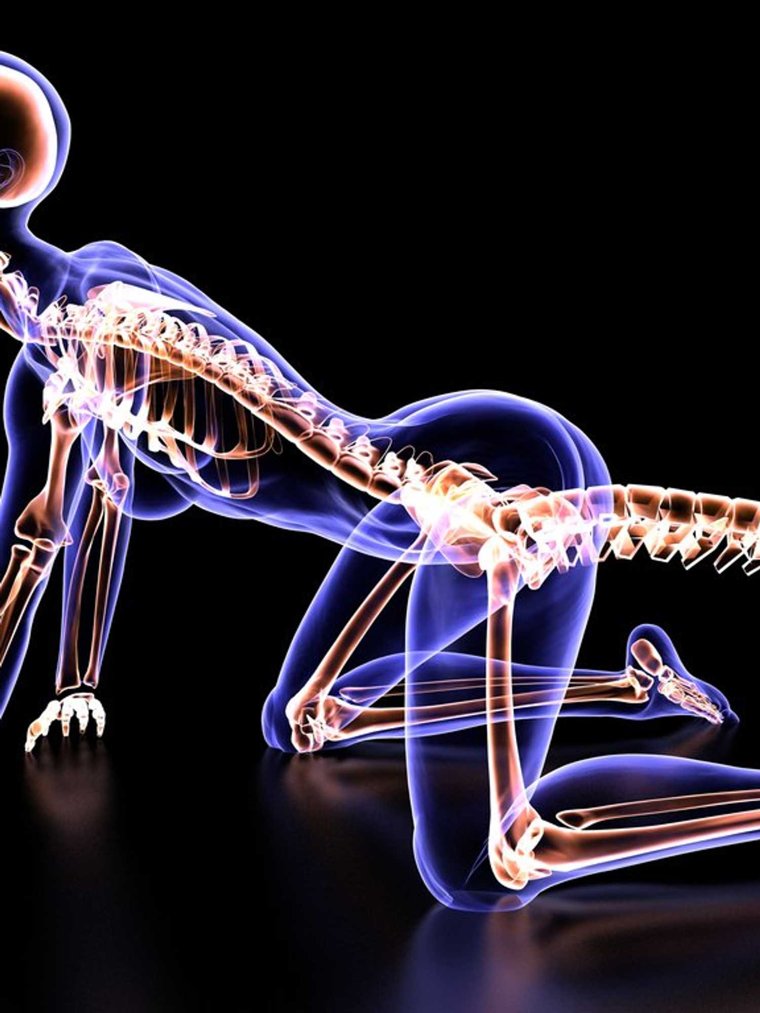 Scientists have discovered real reason why humans no longer have tails