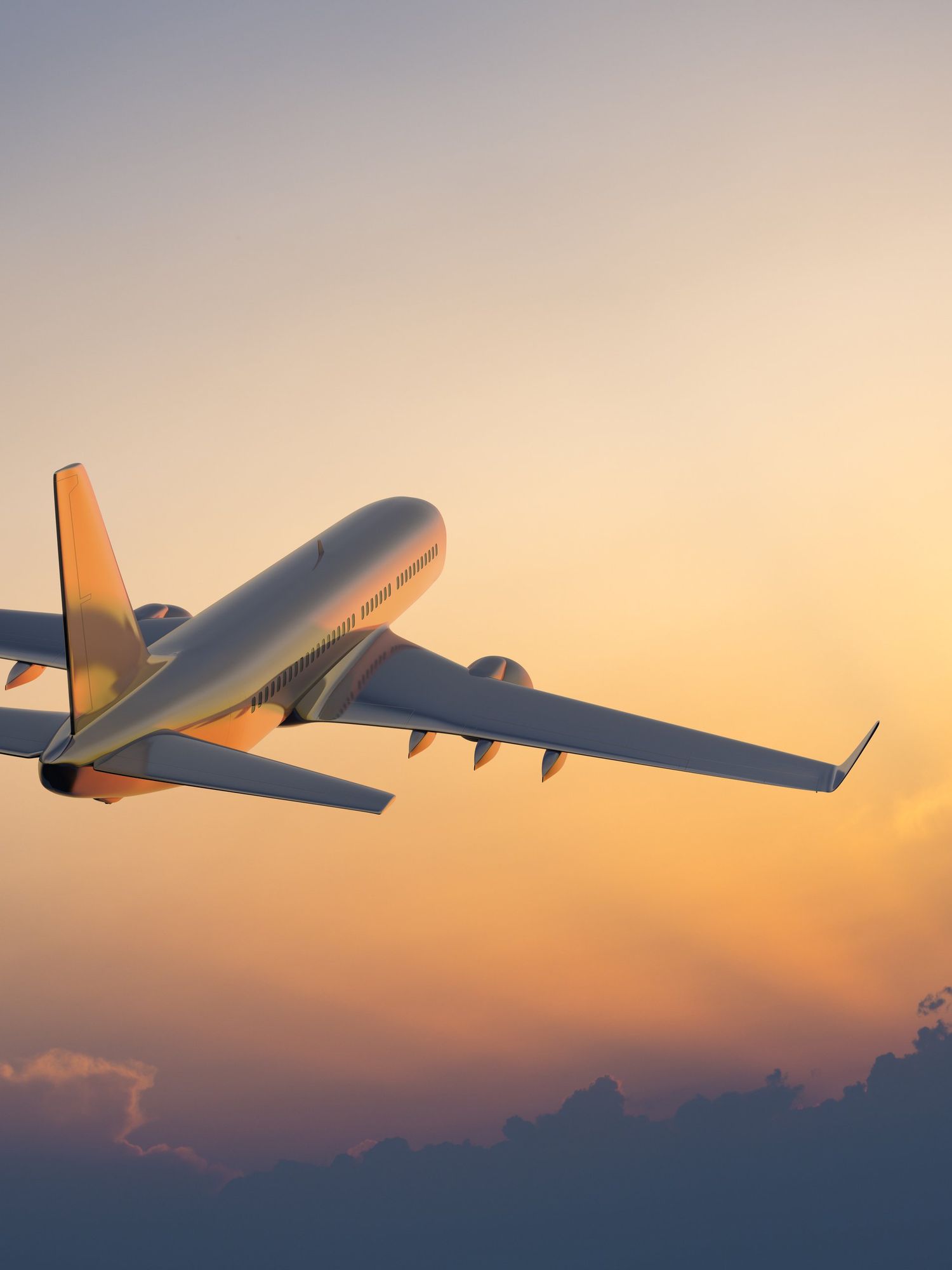 Pilot becomes a hero after safely delivering a baby mid-flight