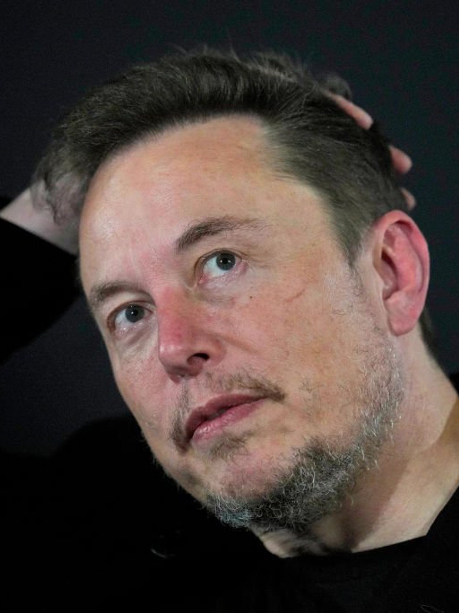 Who is Stonetoss? The right-wing cartoonist that Elon Musk is suspending people for identifying
