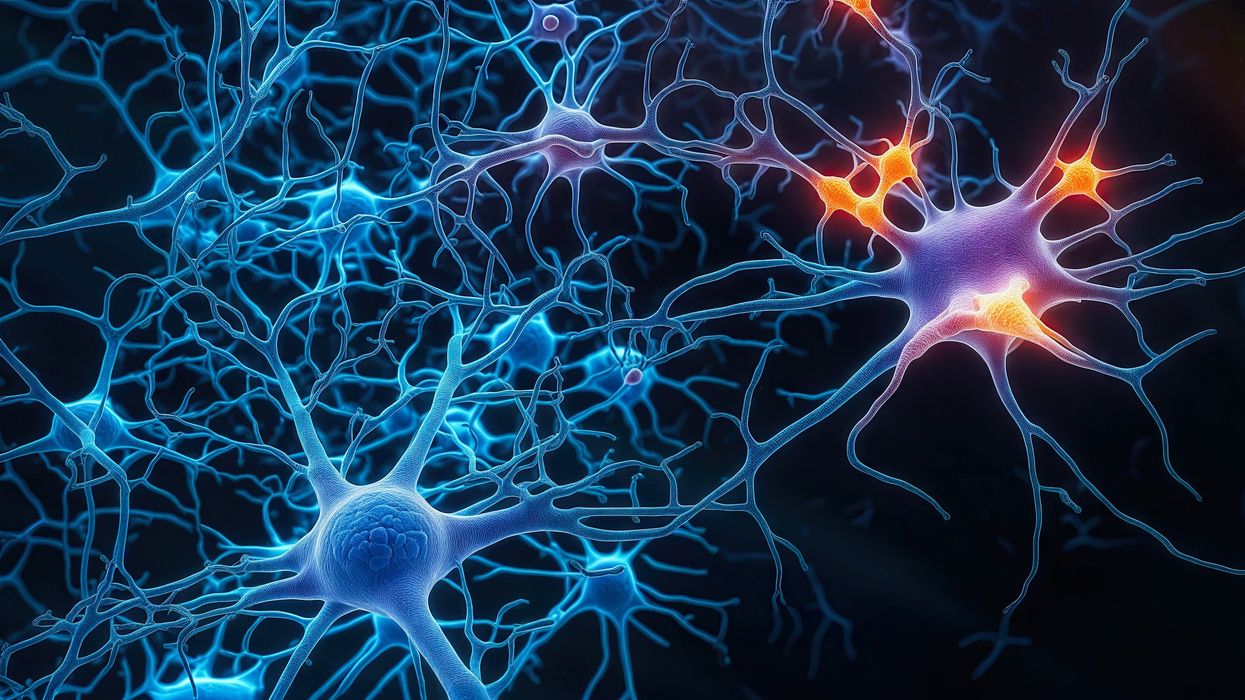 Scientists create first 'brain' computer using water and salt