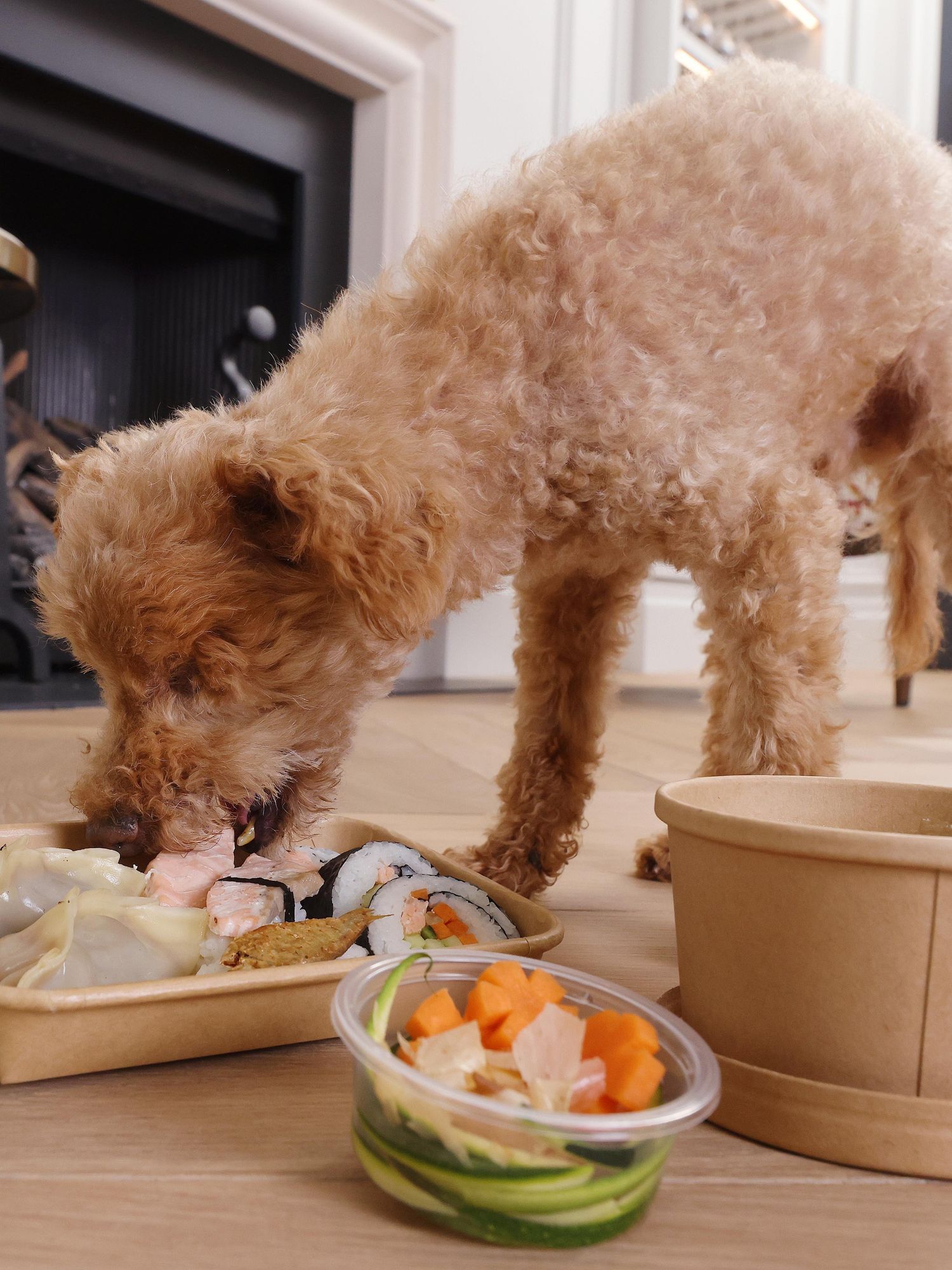 You can now order takeaways for your dog when they’re home alone