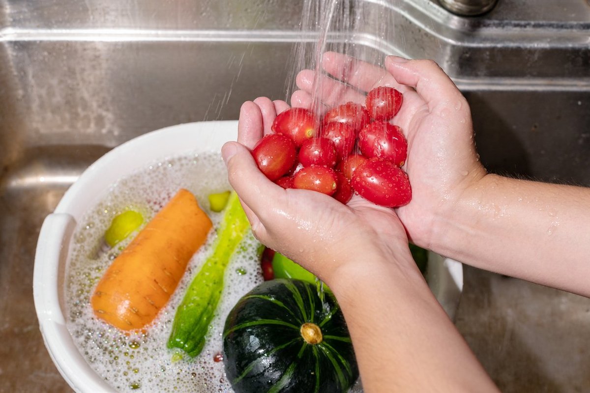 Veg Indy100 veg-indy100